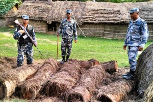 सशस्त्र प्रहरीद्वारा रुपन्देही र कपिलवस्तुबाट लाखौं रुपैयाँको अवैध सामाग्री र काठ बरामद